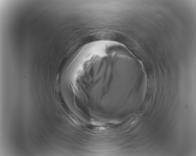 X0000070170239200606231929