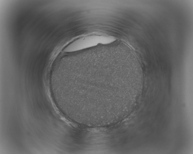 X0000070170241200606231928