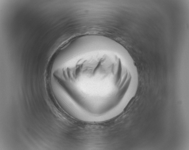 X0000070170242200606231928