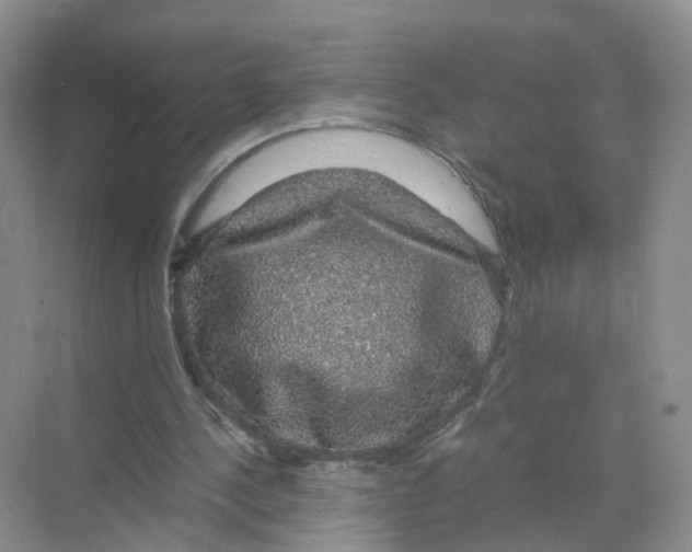 X0000070170244200606231928