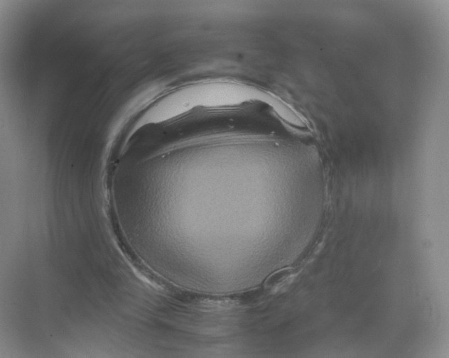 X0000070170245200606231928