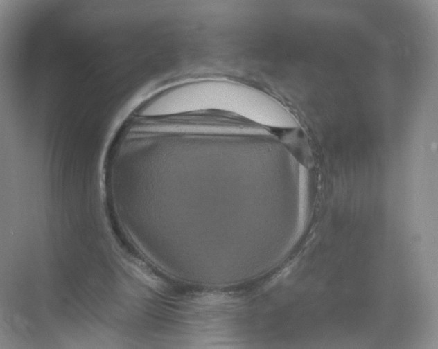 X0000070170246200606231928