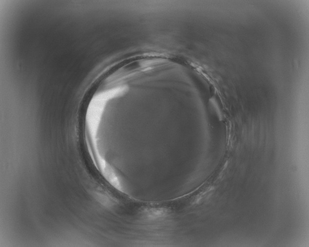 X0000070170247200606231928