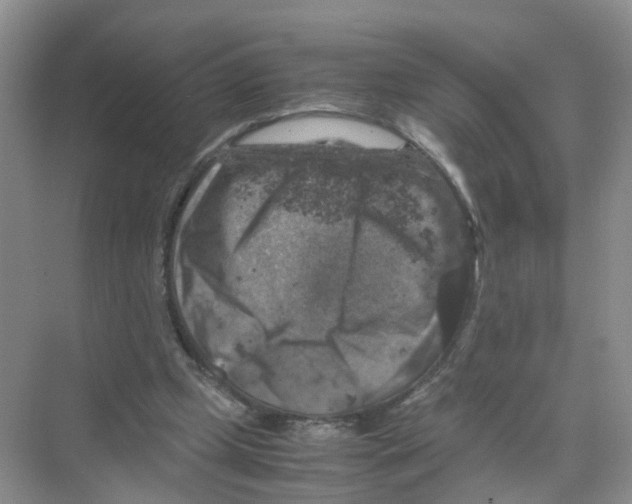 X0000070170249200606231928