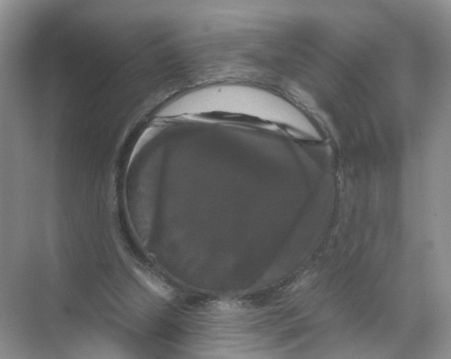 X0000070170250200606231928