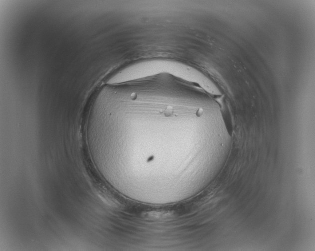 X0000070170251200606231928