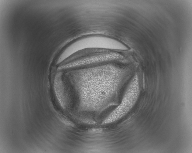 X0000070170252200606231928