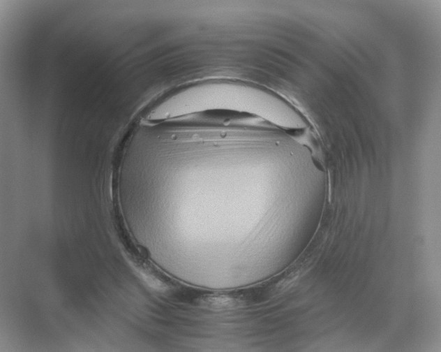 X0000070170253200606231928