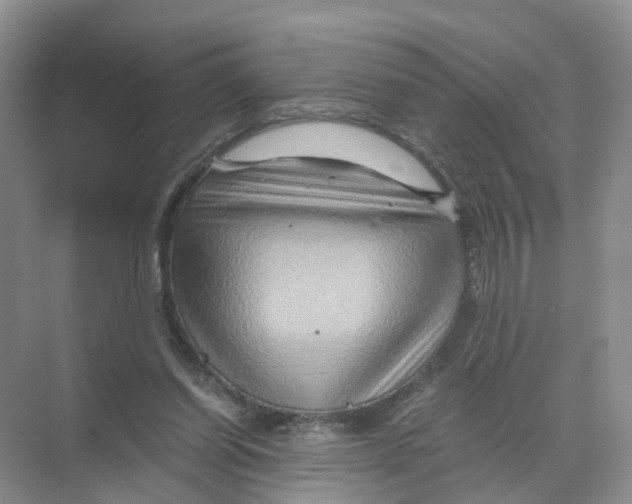 X0000070170254200606231928