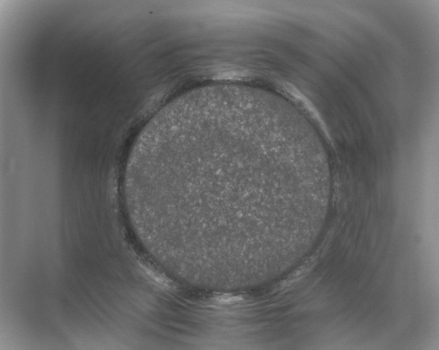 X0000070170257200606231928