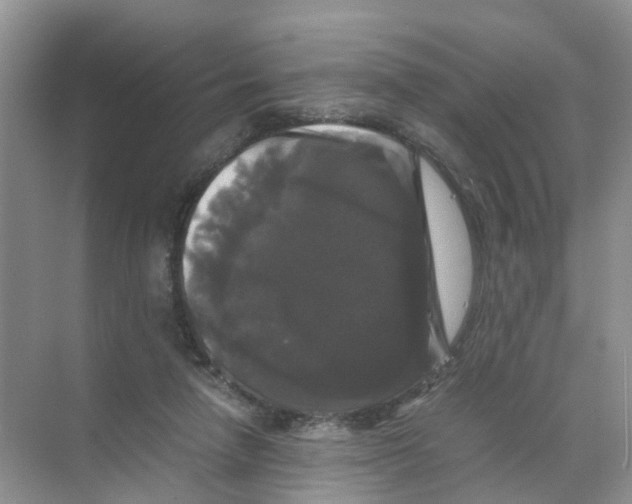 X0000070170258200606231928