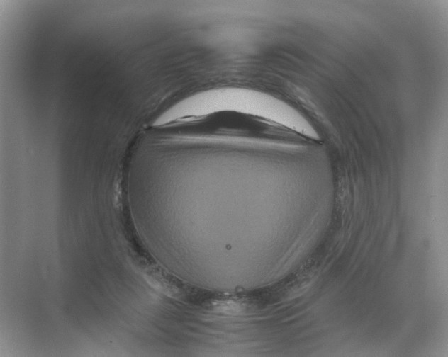 X0000070170259200606231928