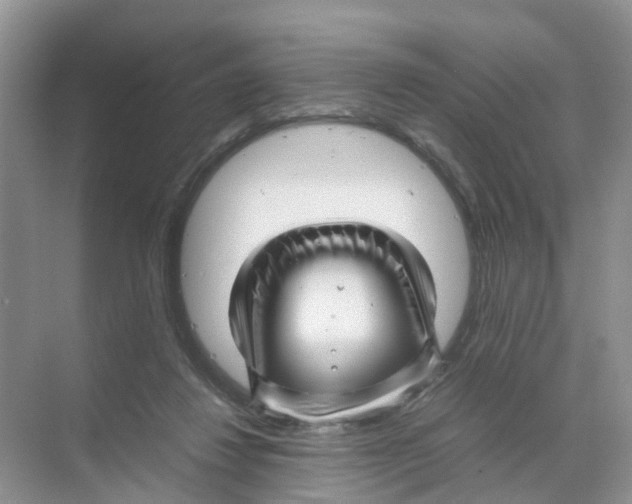 X0000070170260200606231928