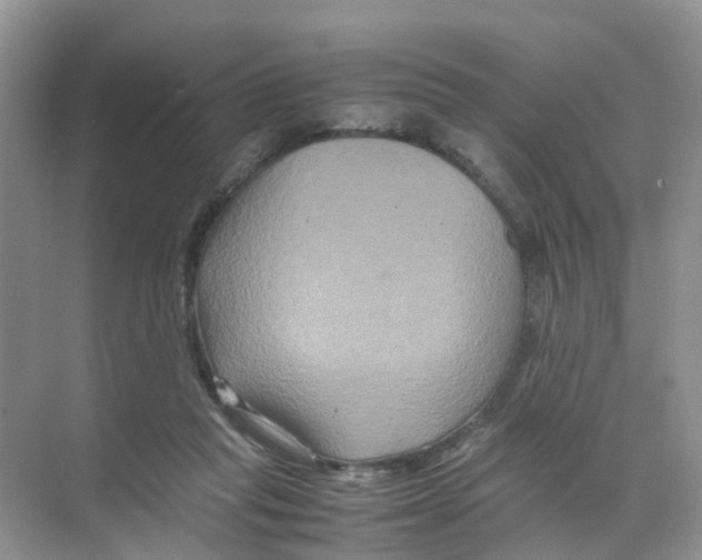 X0000070170261200606231928