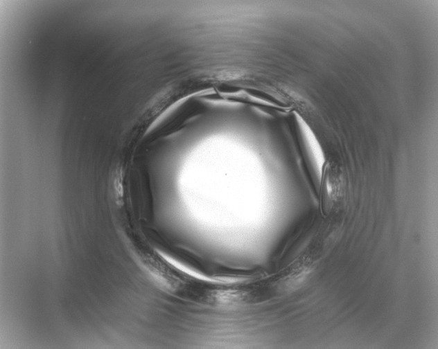 X0000070170264200606231928