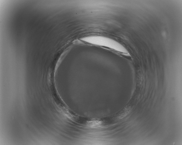 X0000070170266200606231928