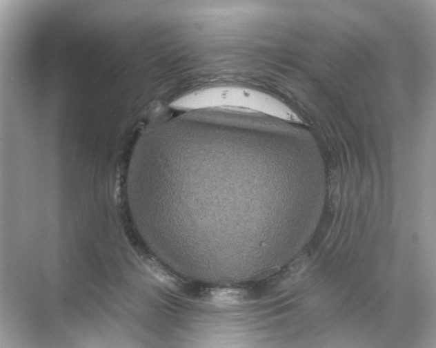 X0000070170268200606231928