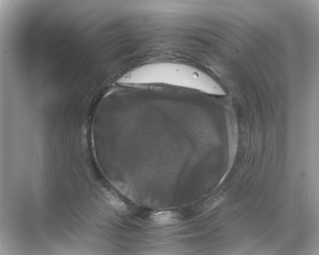 X0000070170269200606231928