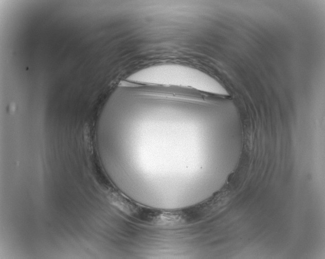 X0000070170270200606231928