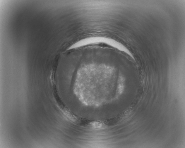 X0000070170272200606231928