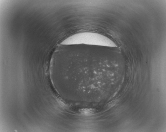 X0000070170273200606231928