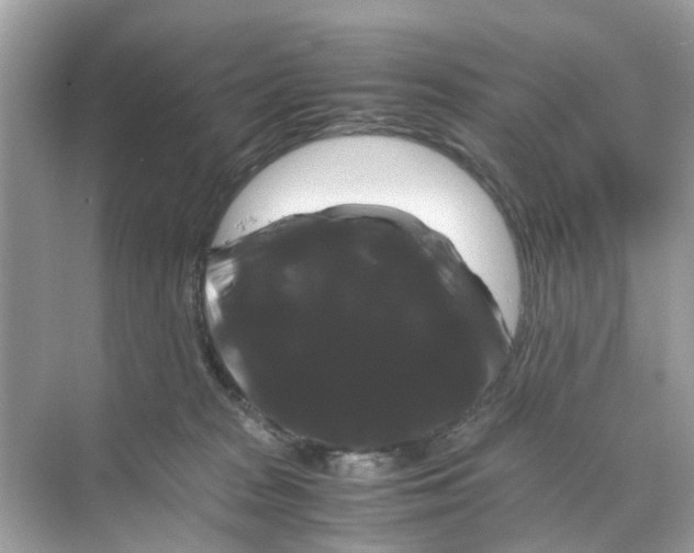 X0000070170277200606231929