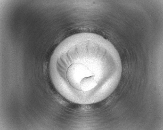 X0000070170278200606231929