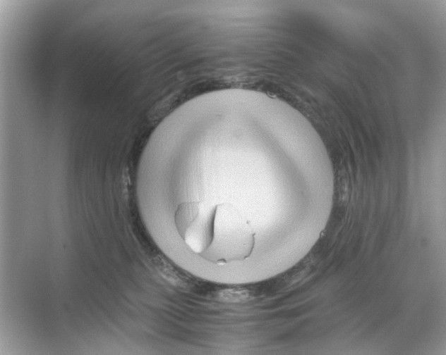 X0000070170279200606231929