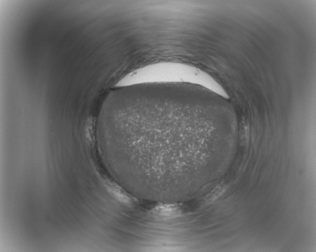 X0000070170280200606231929