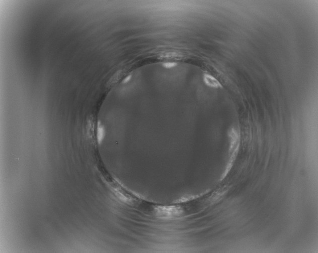 X0000070170281200606231929