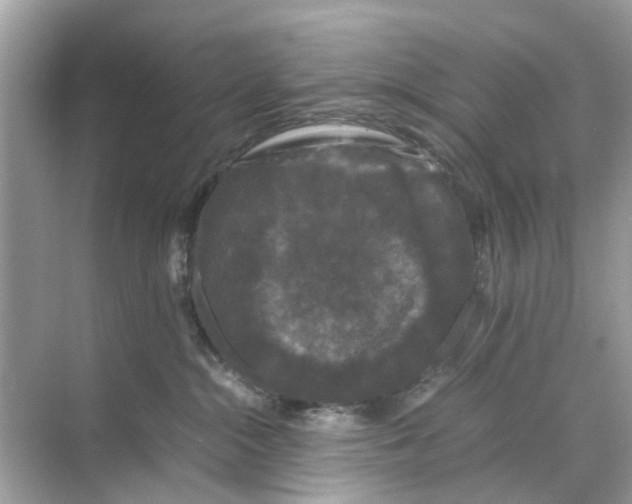 X0000070170284200606231929