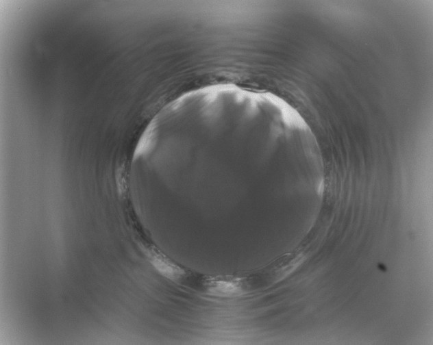 X0000070170285200606231929