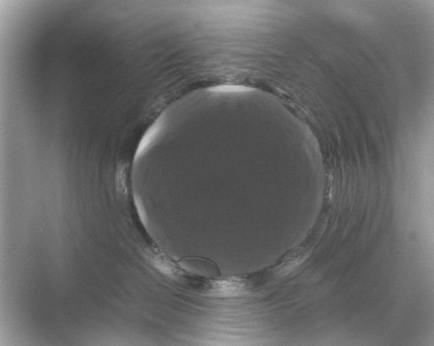 X0000070170286200606231929