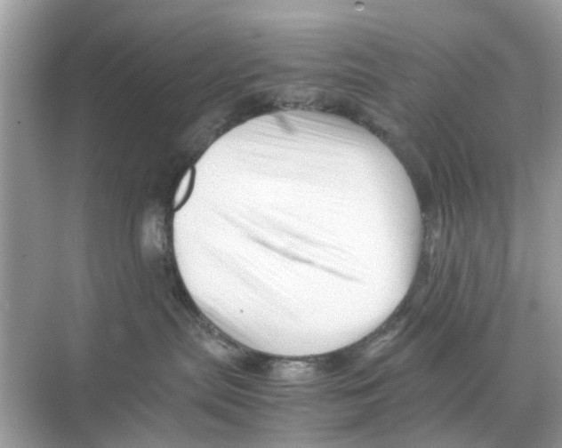 X0000070170287200606231929