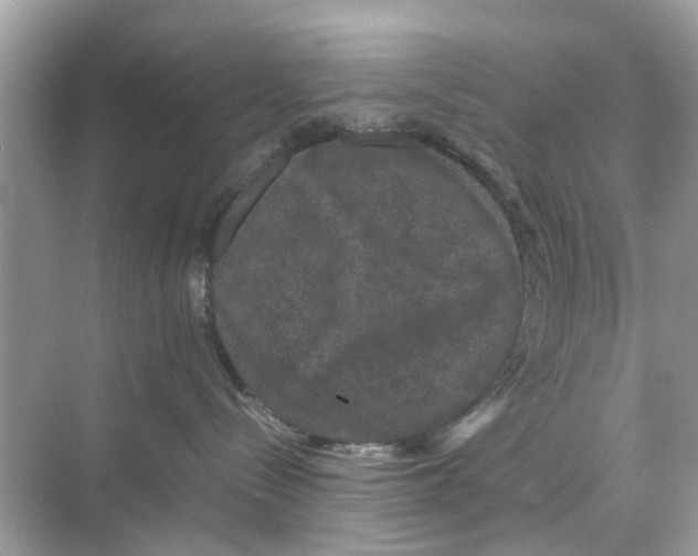 X0000070170288200606231929