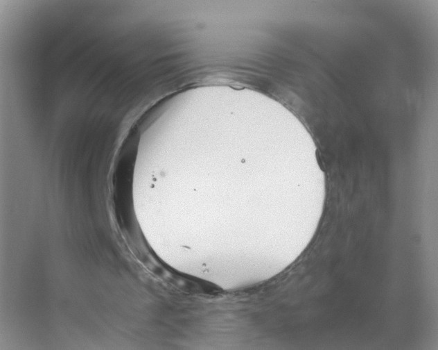 X0000070170289200606231928