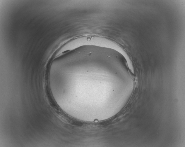 X0000070170291200606231928