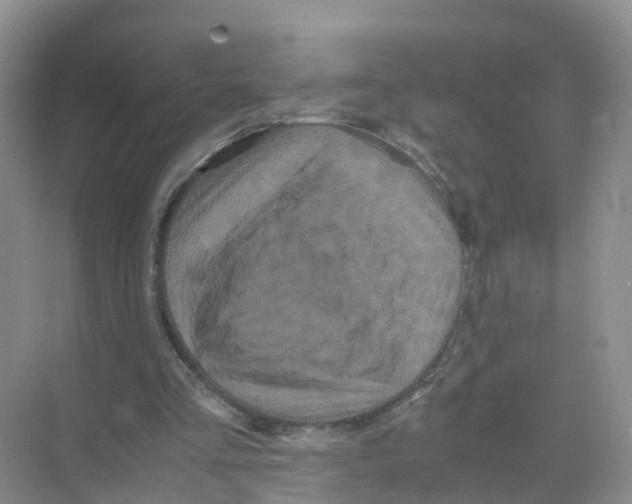 X0000070170293200606231928