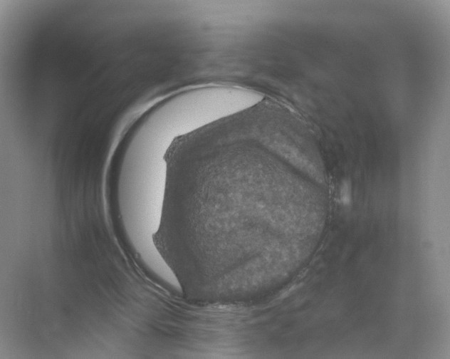 X0000070170294200606231928