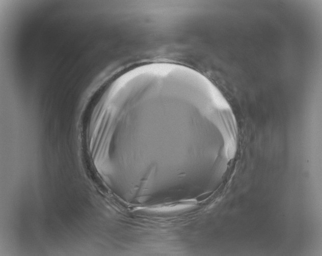 X0000070170295200606231928