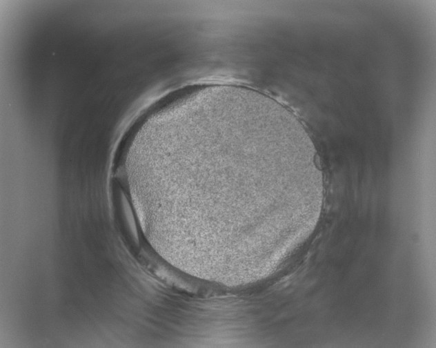 X0000070170296200606231928