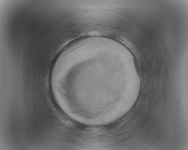 X0000070170297200606231928