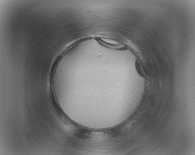 X0000070170298200606231928