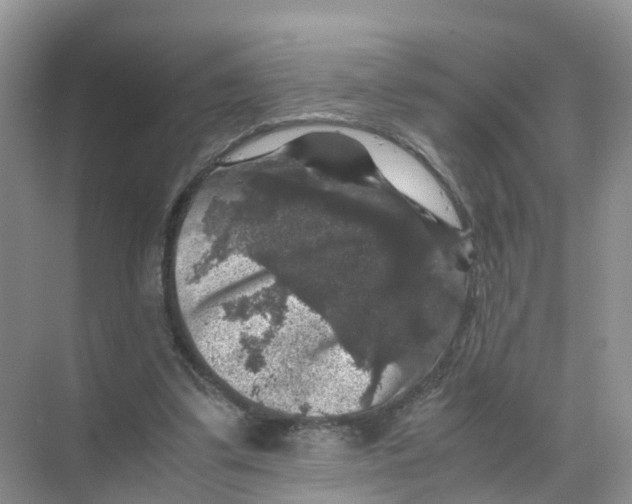 X0000070170299200606231928