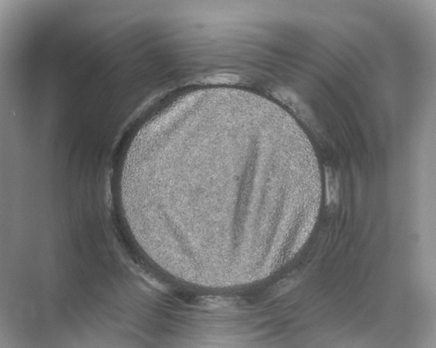 X0000070170300200606231928