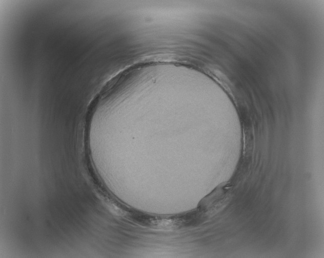 X0000070170301200606231928