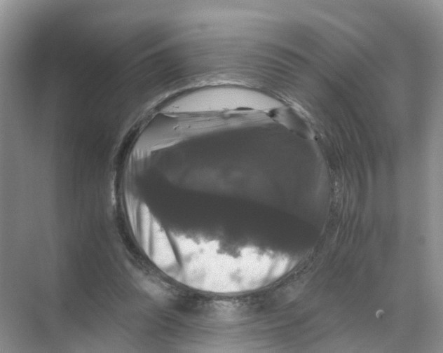 X0000070170302200606231928