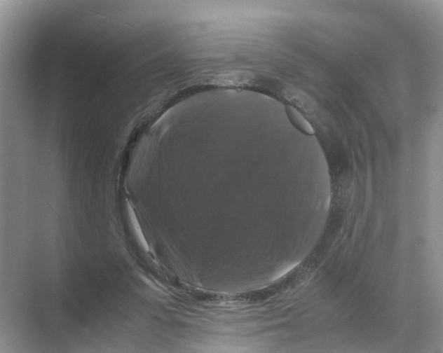 X0000070170303200606231928