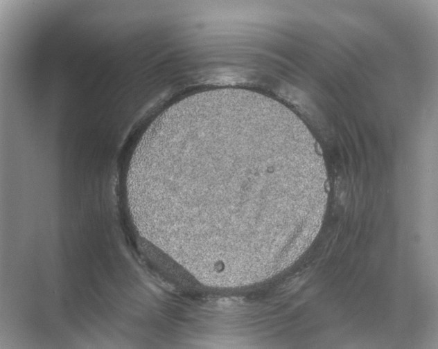 X0000070170304200606231928