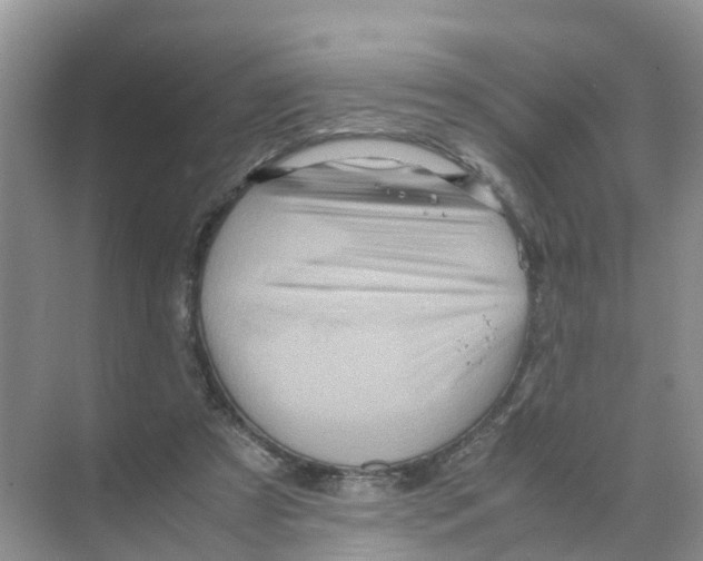 X0000070170305200606231928